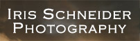 Iris Schneider Photography